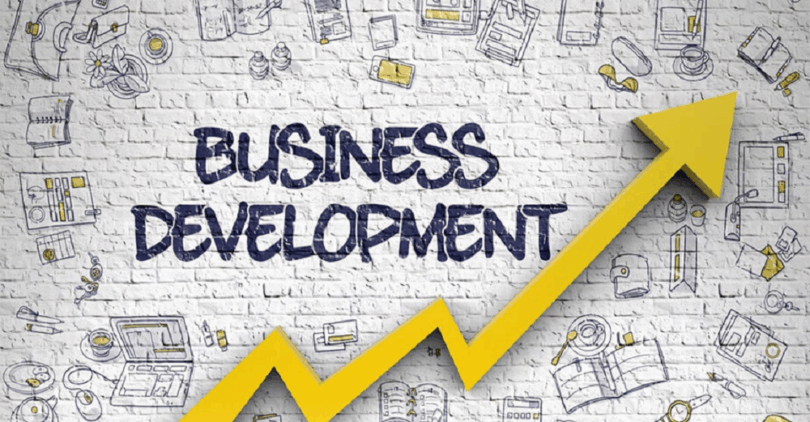 Business & Project Development