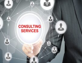 Consulting Services